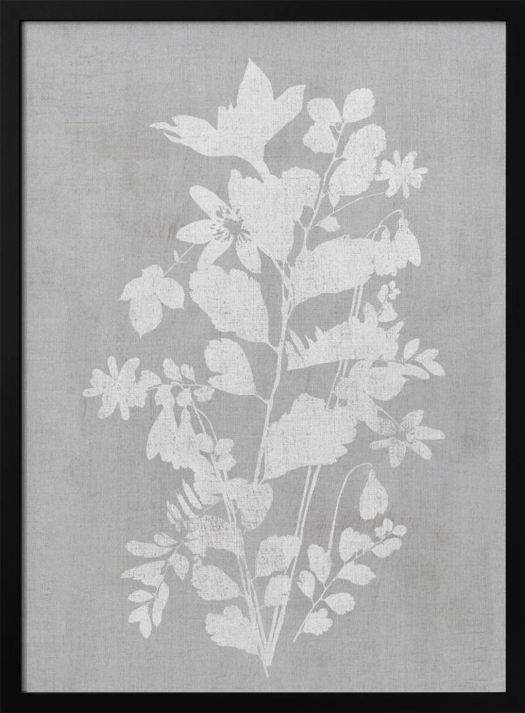Artwork- Botanical Illustration 4-16X20inches-In White Floating Frame