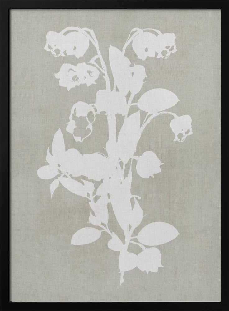 Artwork- Botanical Illustration 6-16X20inches-In White Floating Frame