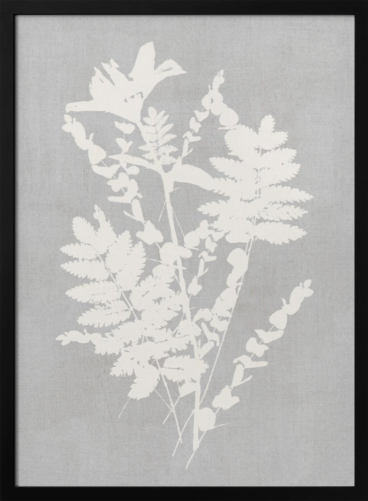 Artwork- Botanical Illustration 7-16X20inches-In White Floating Frame