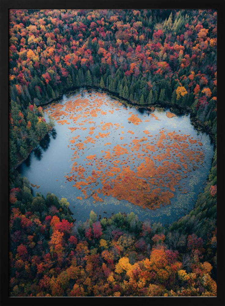 Wall art Autumn at the Lake-24X36inches-In White Floating Frame