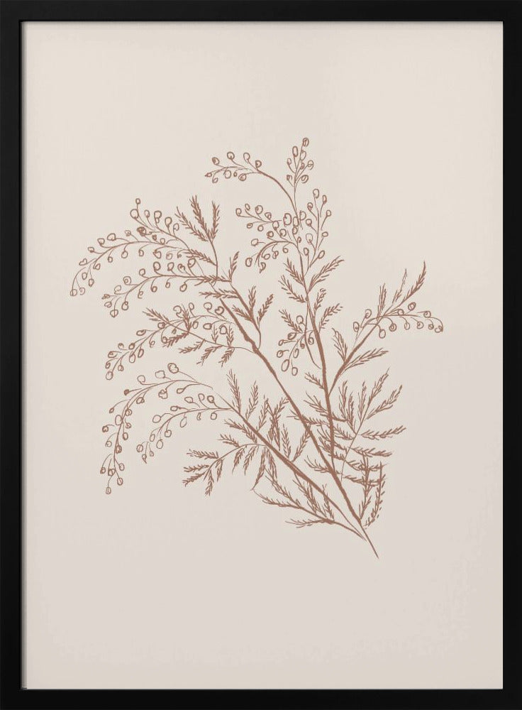 Artwork- Acacia Botanical Branch-16X20inches-In White Floating Frame