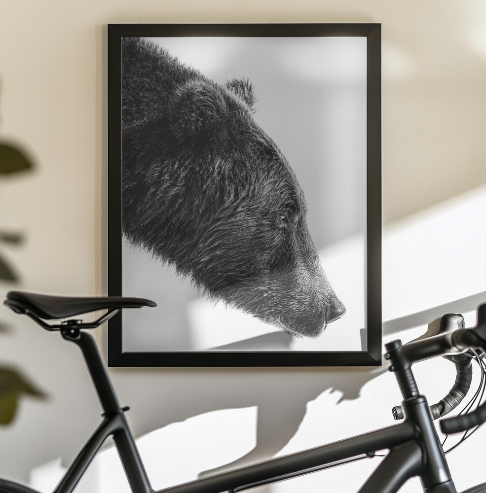 Artwork- The Salmon Catcher-16X20inches-In Black Floating Frame