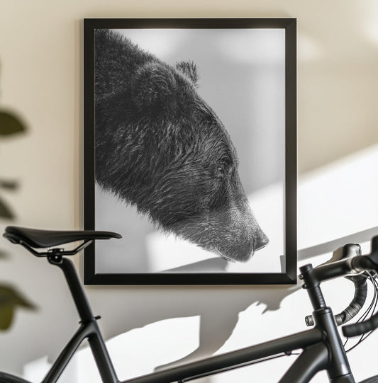 Artwork- The Salmon Catcher-16X20inches-In Black Floating Frame