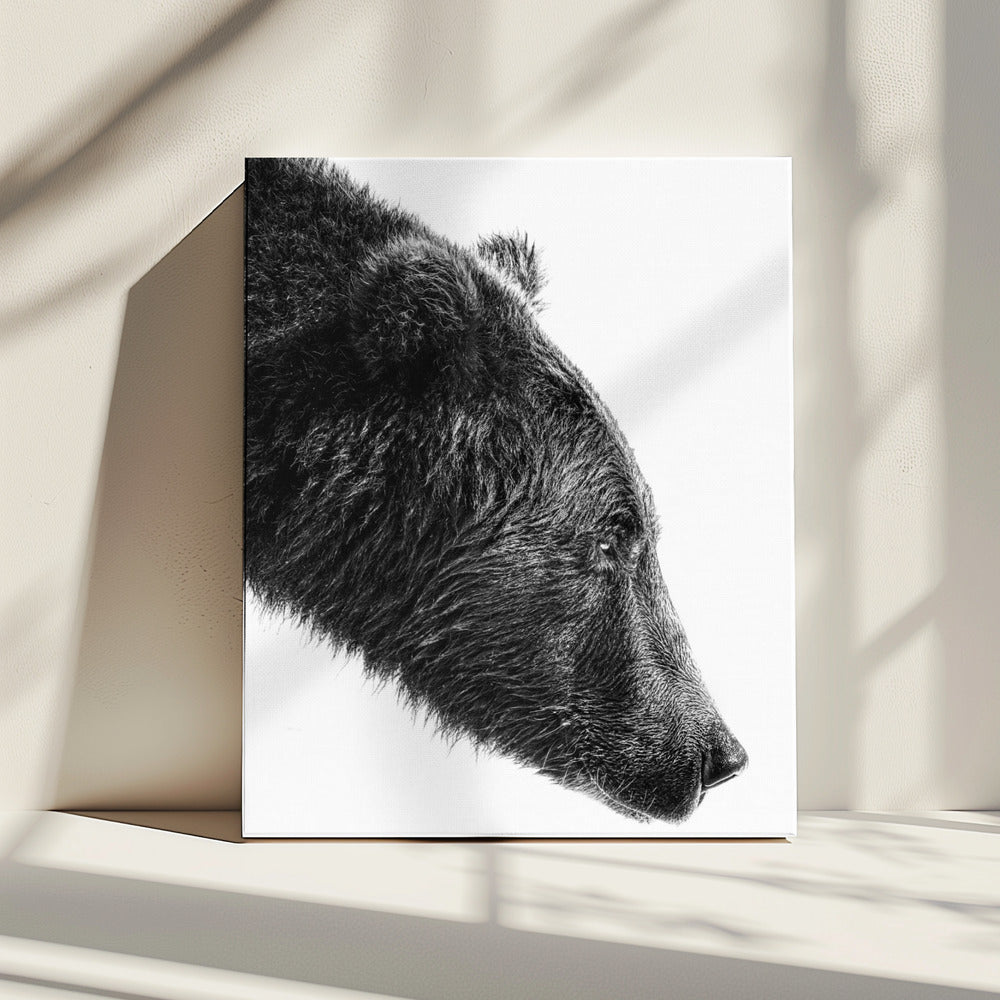 Artwork- The Salmon Catcher-24X36inches-Gallery Wrapped (Ready to Hang)