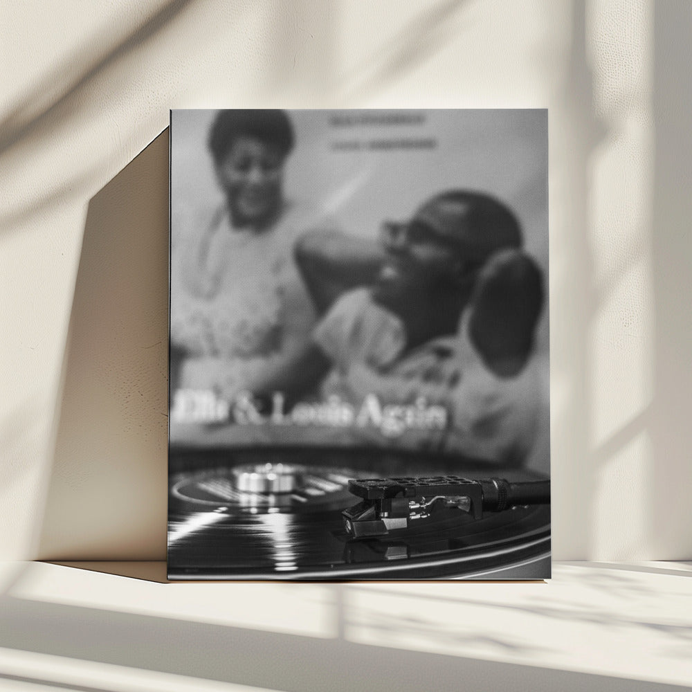 Artwork- Vinyl_006-24X36inches-Gallery Wrapped (Ready to Hang)