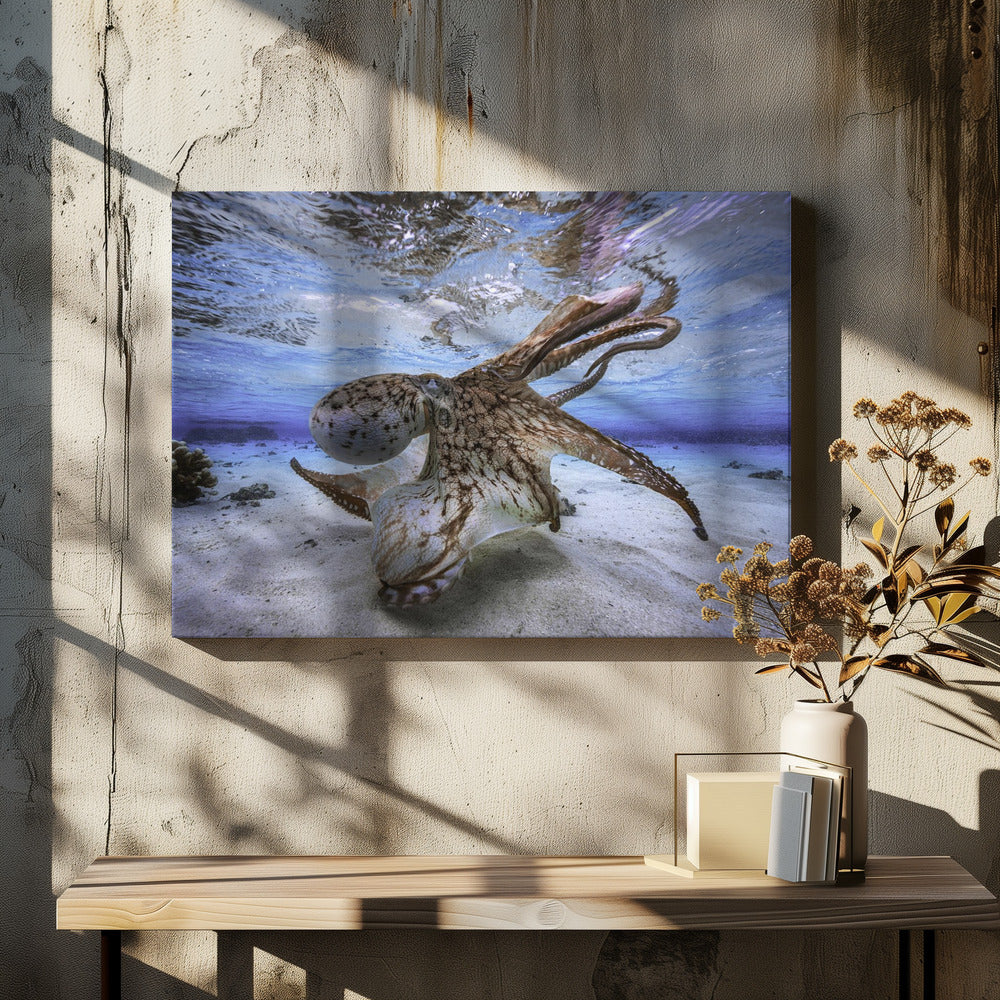 Dancing Octopus Wall Artwork In Black Floating Frame