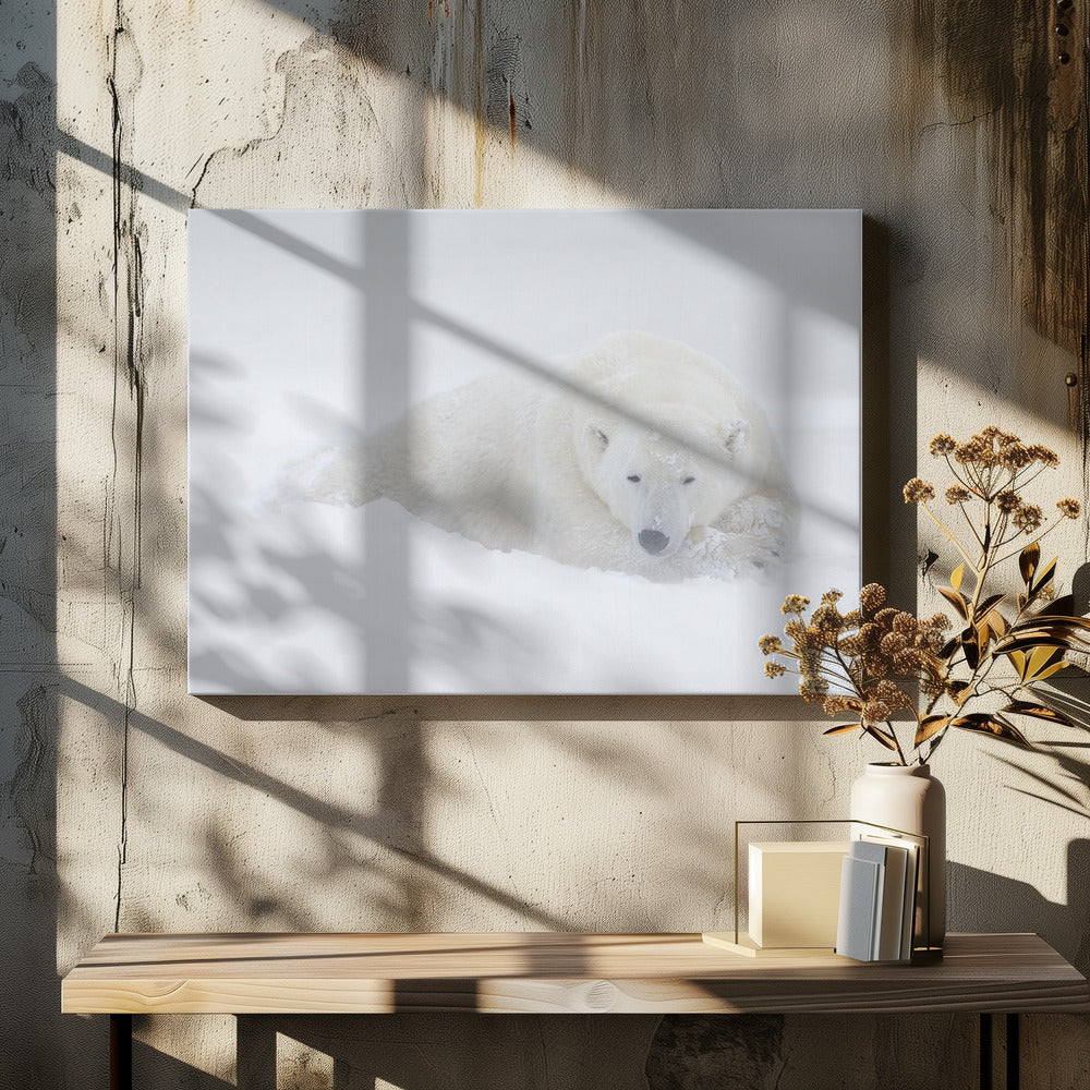 Wall art White-48X36inches-In Black Floating Frame