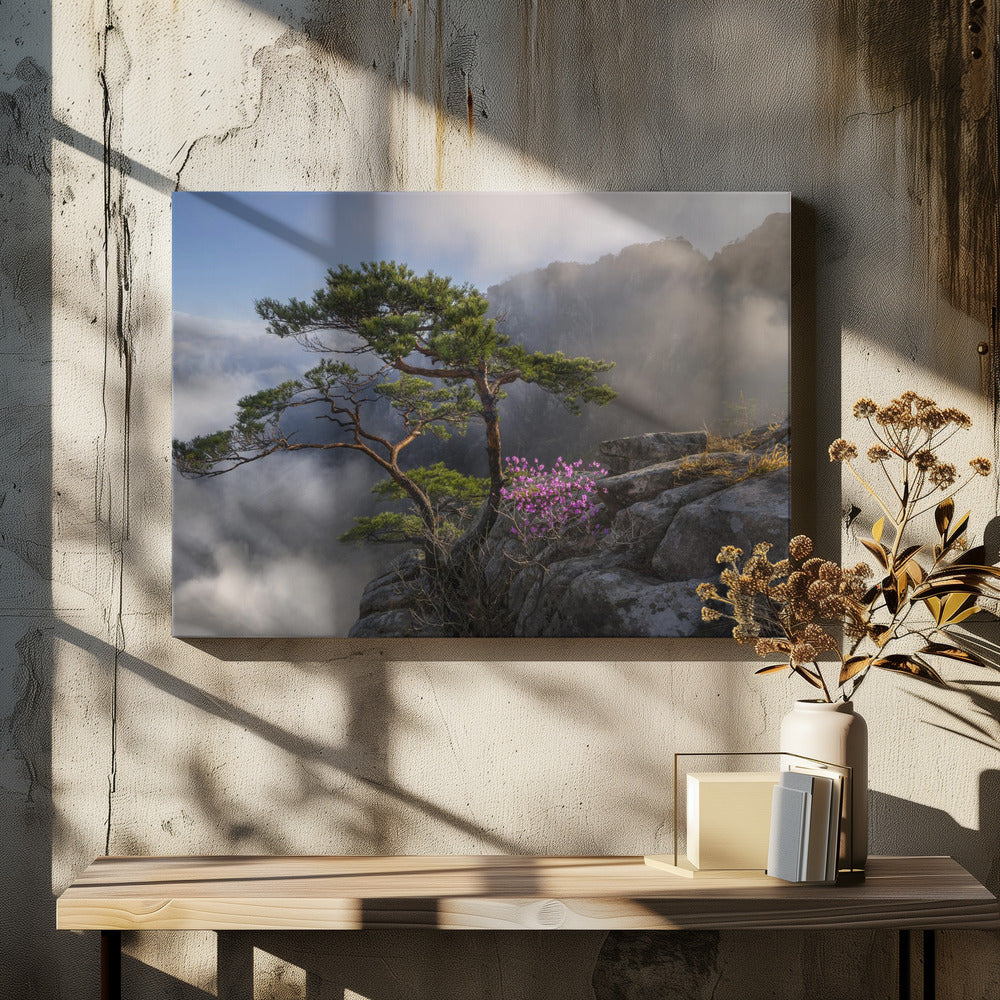 Dream dancer Wall Artwork In Black Floating Frame