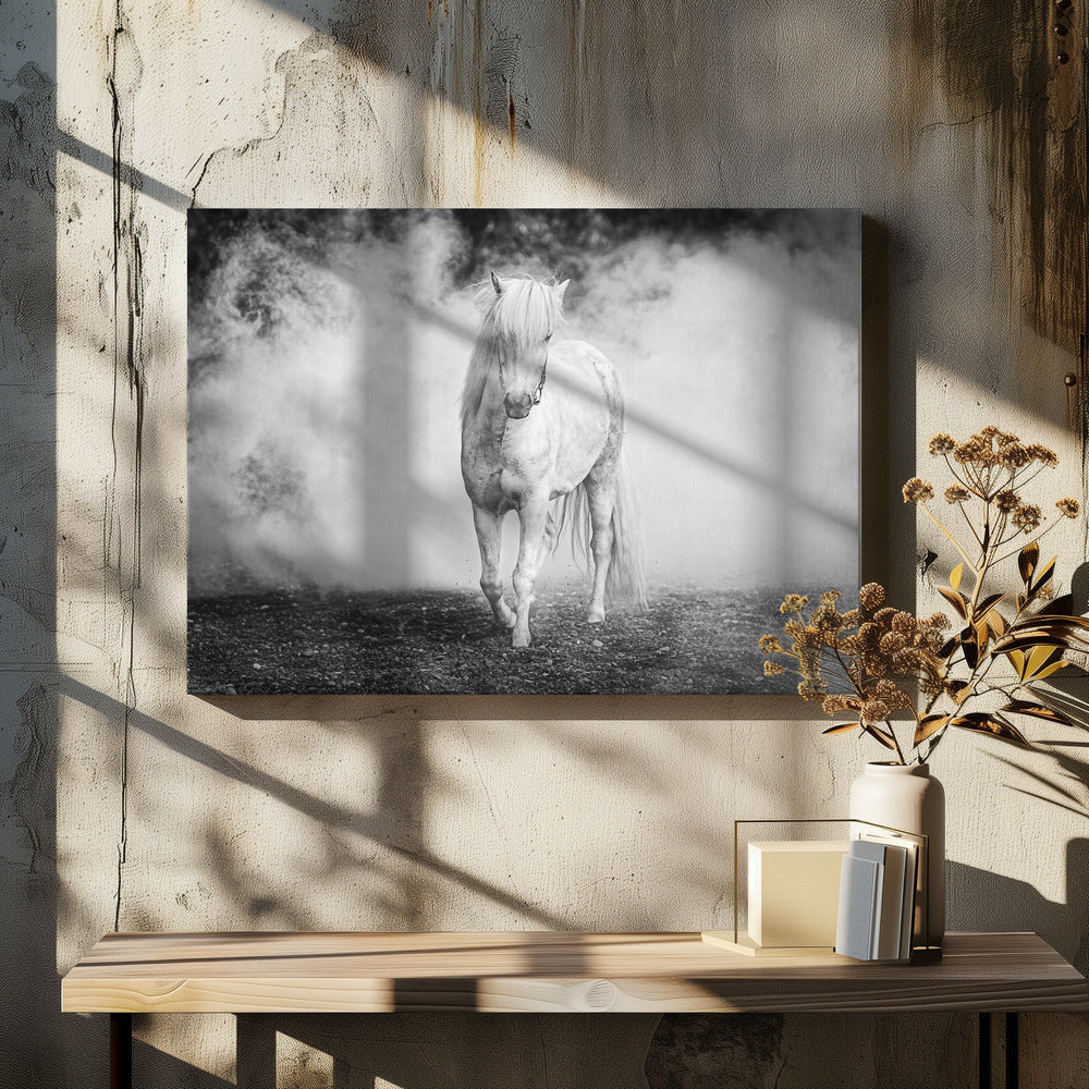 Artwork- Icelandic pony-36X24inches-In White Floating Frame