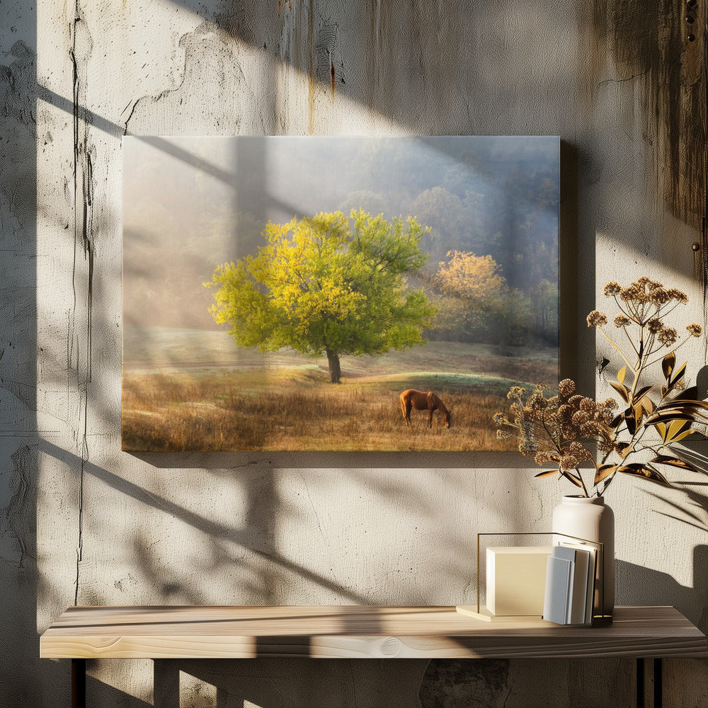 Tree of Life artwok Wall Artwork In White Floating Frame