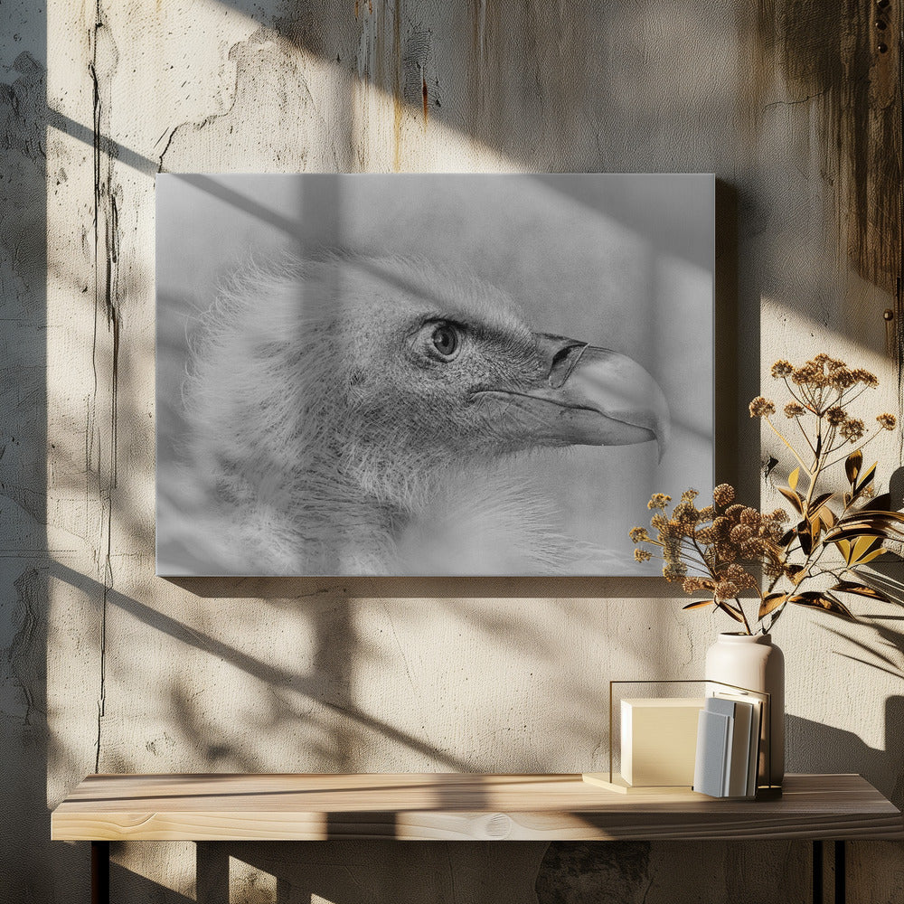 Artwork- Bald eagle-36X24inches-In White Floating Frame