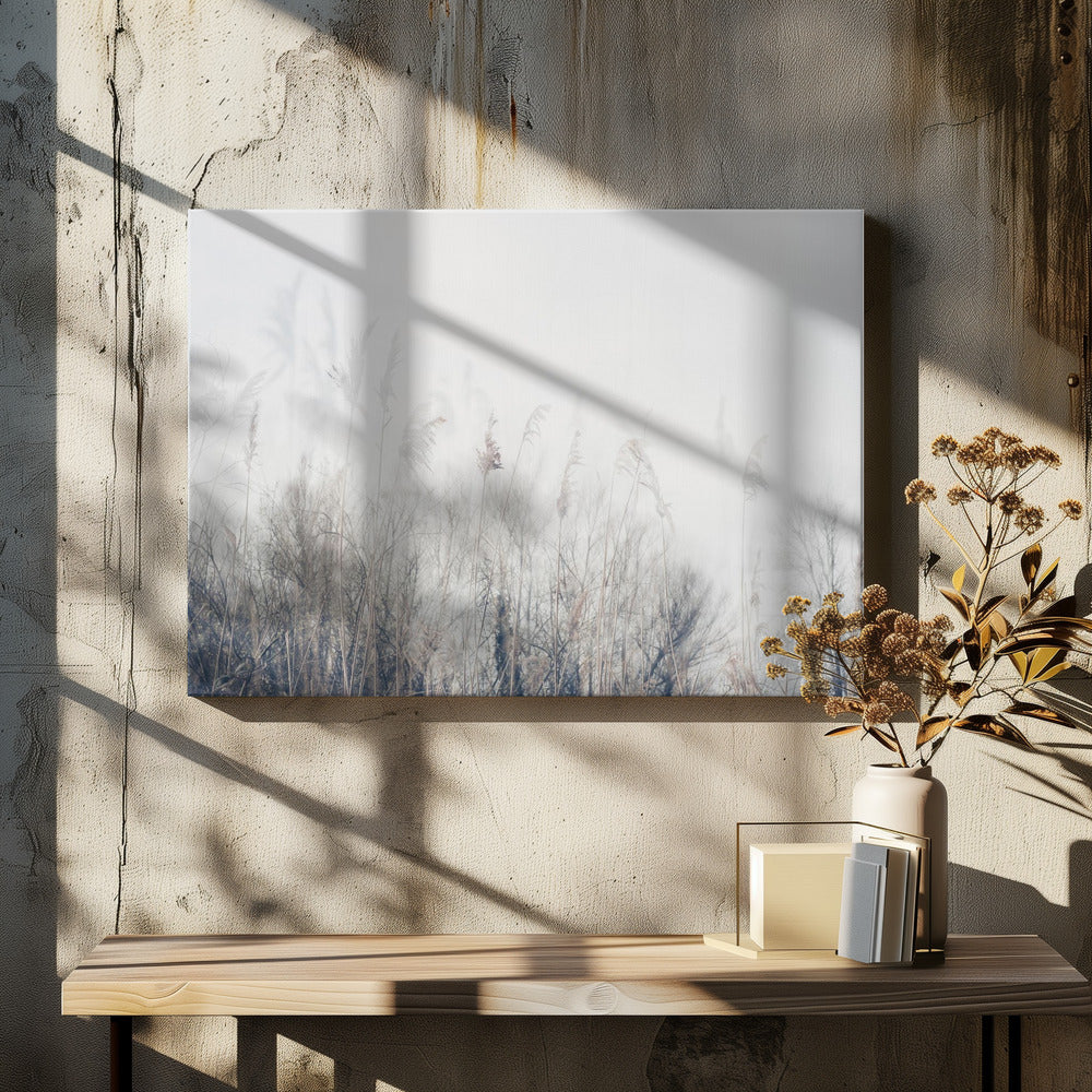 Artwork- Landscape of reeds and grass-36X24inches-In White Floating Frame