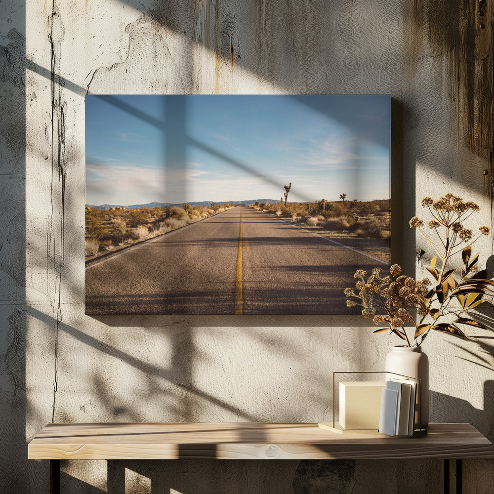 Joshua Tree Road Wall Artwork In White Floating Frame