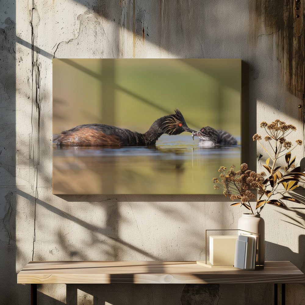canvas prints Feeding48X36inches- Black Frame