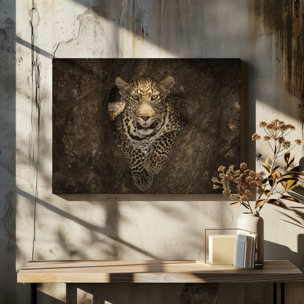 Artwork Leopard Resting on a Tree at Masai Mara48X36inches- Black Frame