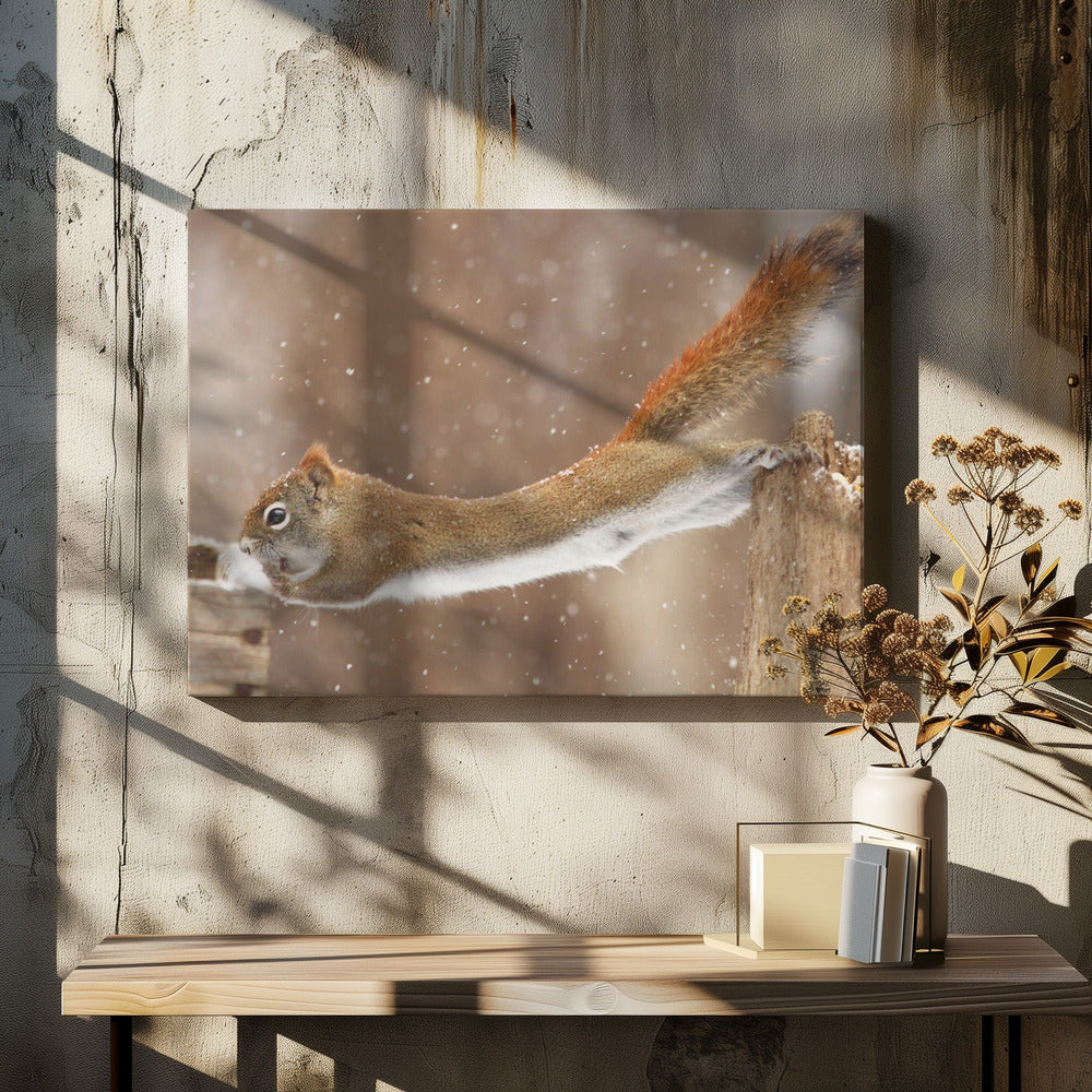 Wall art The Acrobat-48X36inches-In Black Floating Frame