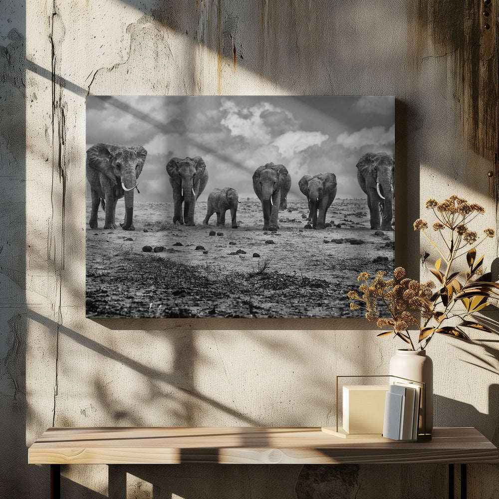 Artwork Big Family. Elephants48X36inches- Black Frame