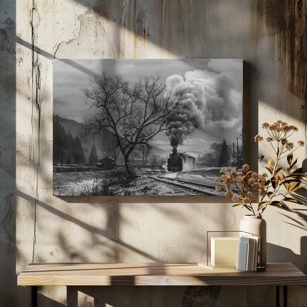 Artwork- Mocanita Hutulca-36X24inches-In White Floating Frame