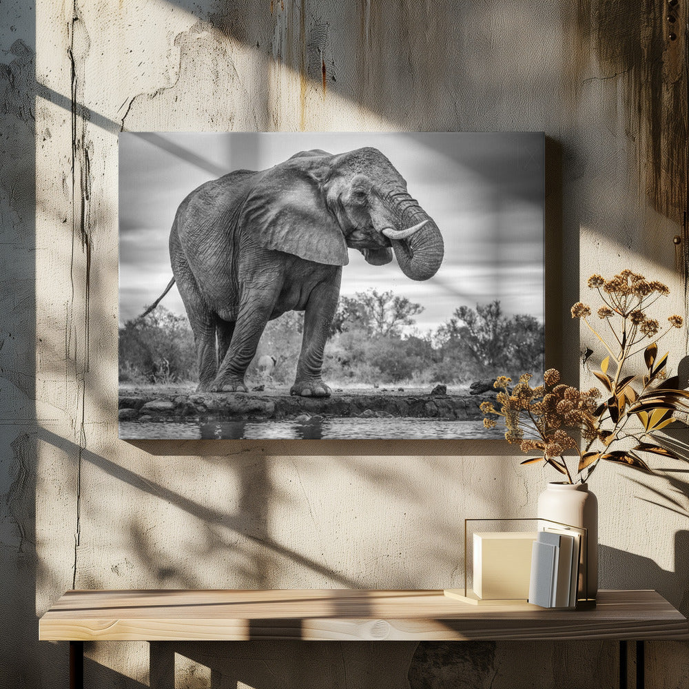 Artwork Standing Proud. Elephant48X36inches- Black Frame