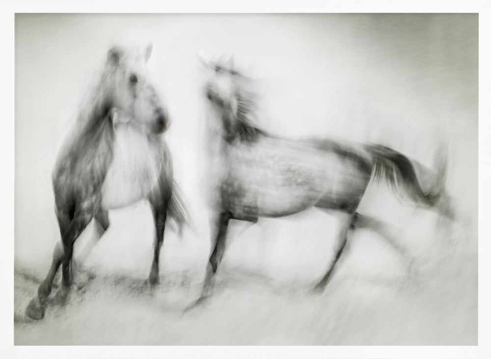 Artwork- Shivers-20X16inches-In White Floating Frame