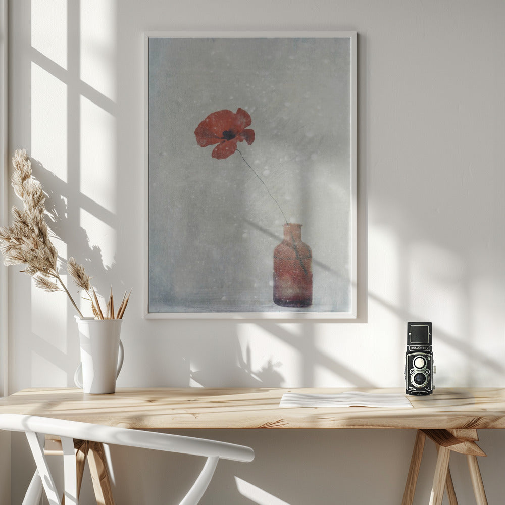 Winter Poppy Wall Artwork In White Floating Frame