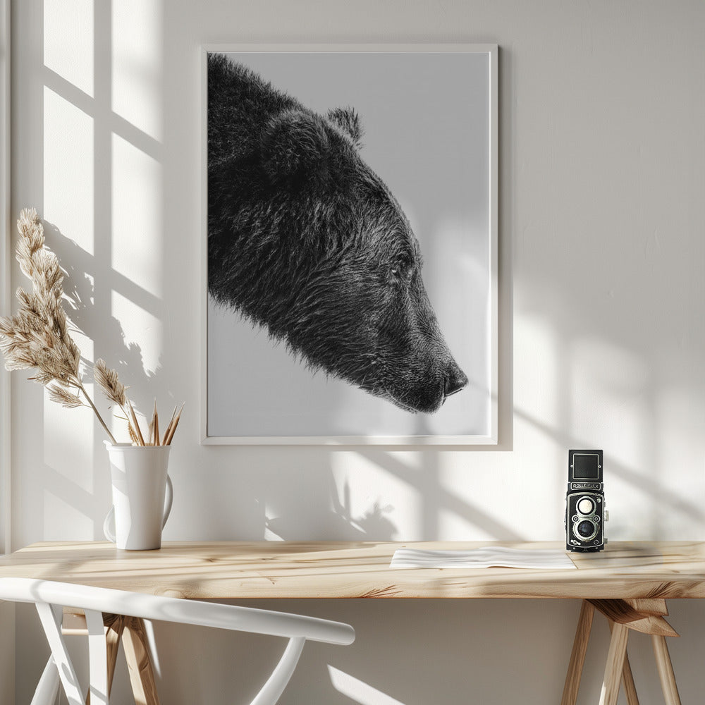 Artwork- The Salmon Catcher-24X36inches-In White Floating Frame