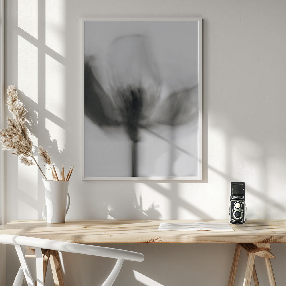 Artwork- Mono Tulip-24X36inches-In White Floating Frame