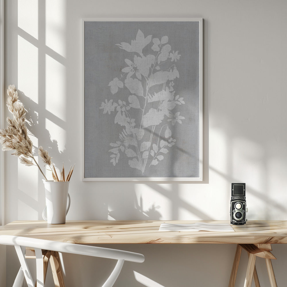 Artwork- Botanical Illustration 7-24X36inches-In White Floating Frame