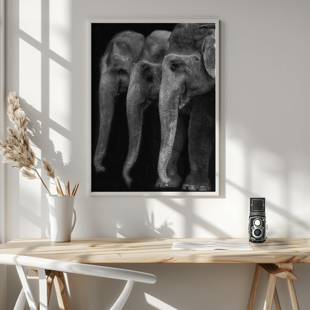 Artwork Nature\'s great masterpiece, an elephant; the only harmless great thing ...36X48inches- White Frame