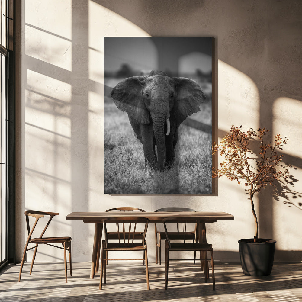 SINGULARITY Wall Artwork In White Floating Frame