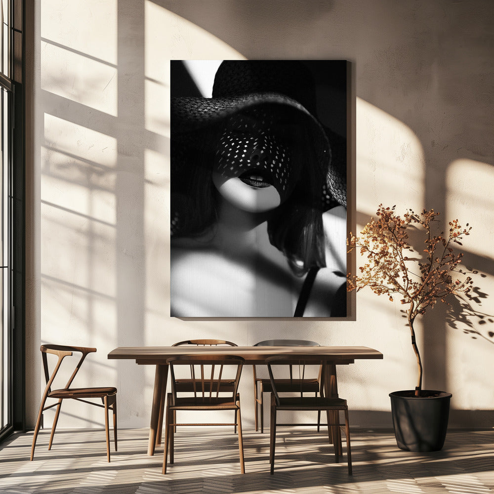 Artwork- Shadowed Elegance-36X48inches-In White Floating Frame