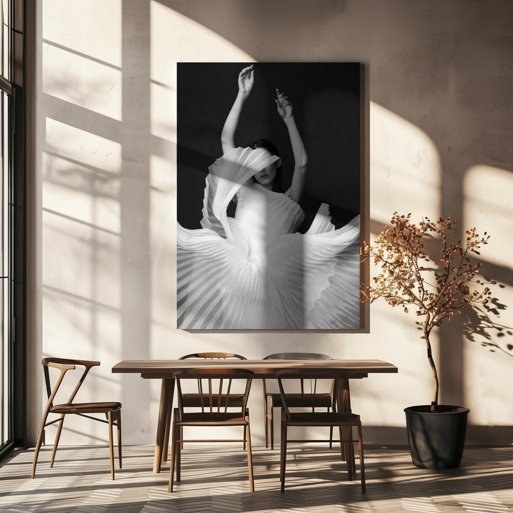 Amadeus Wall Artwork In White Floating Frame