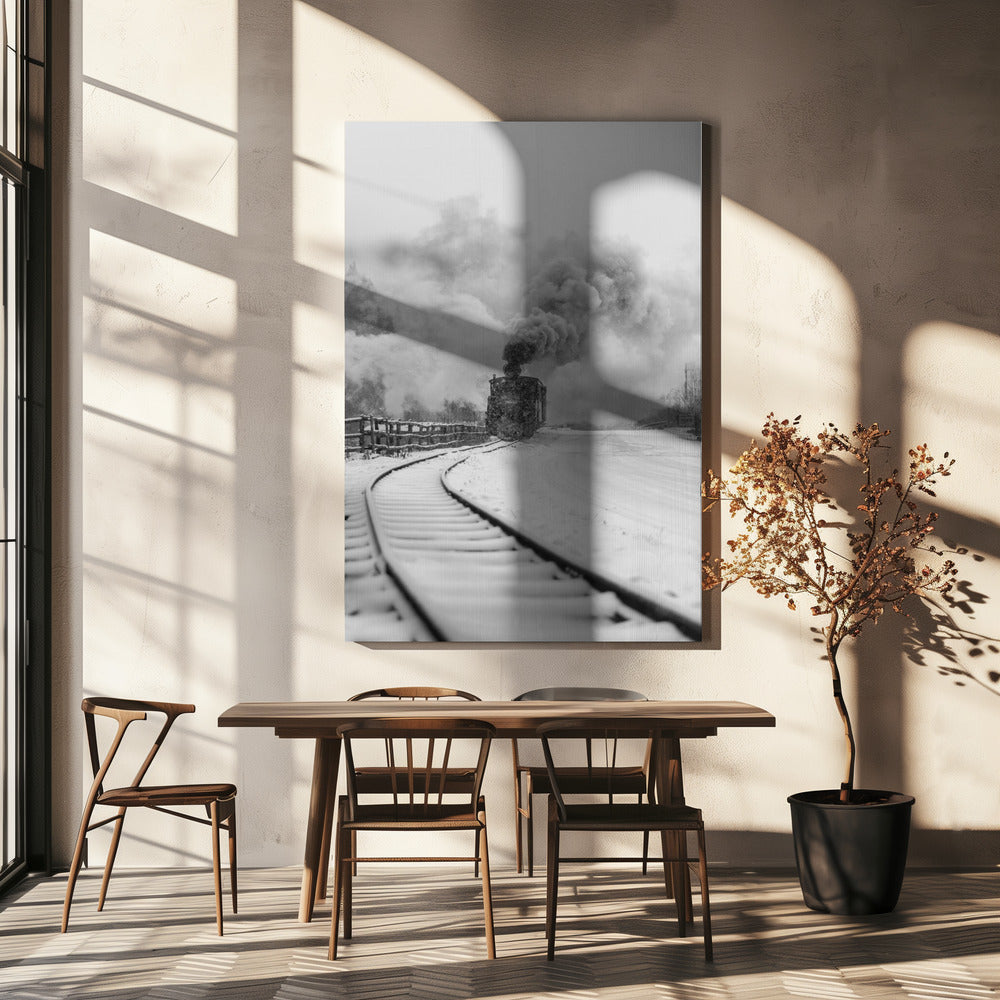 Artwork- Mocanita Hutulca-36X48inches-In White Floating Frame