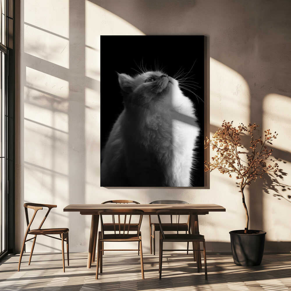 Wall art White in Black