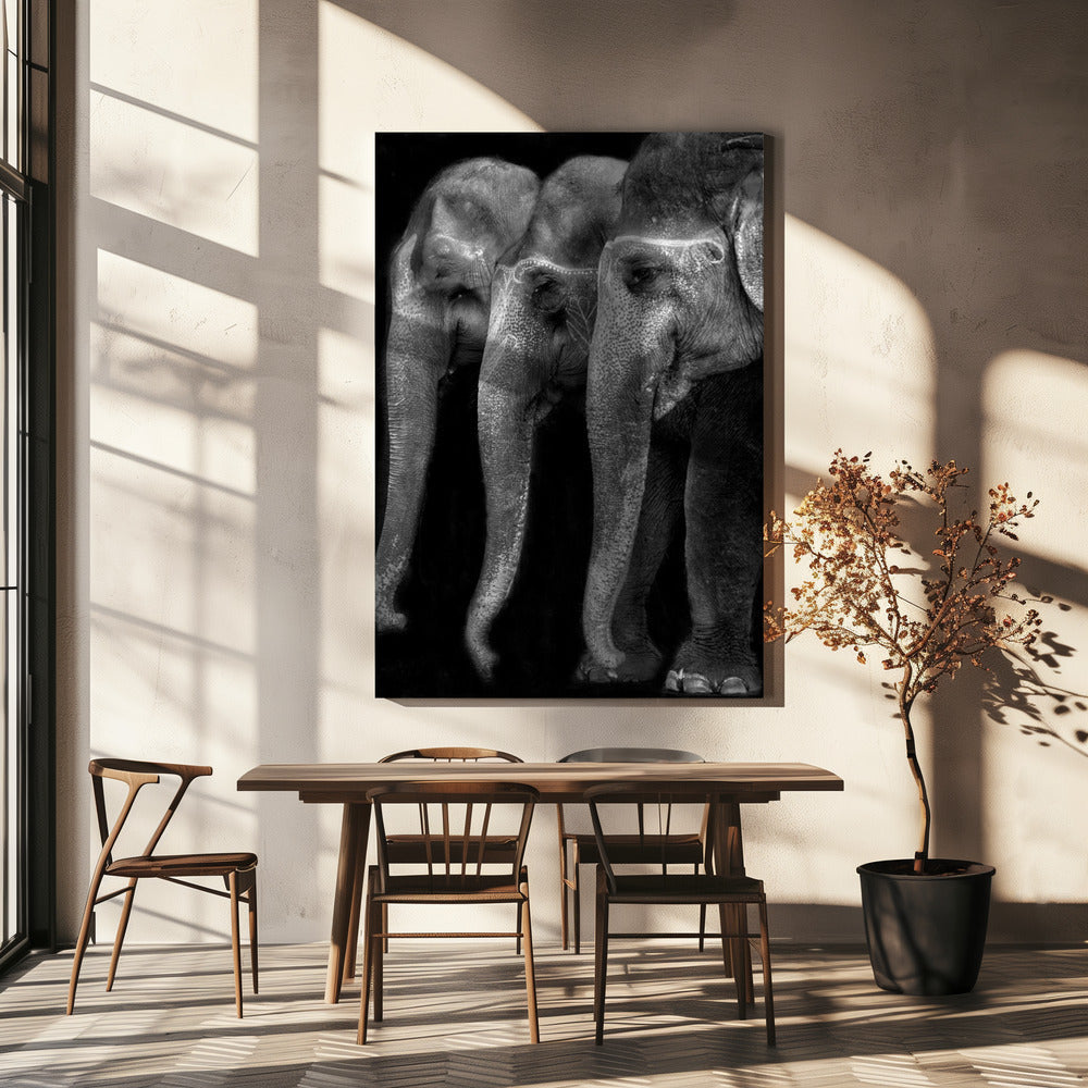 Artwork Nature\'s great masterpiece, an elephant; the only harmless great thing ...36X48inches- Black Frame