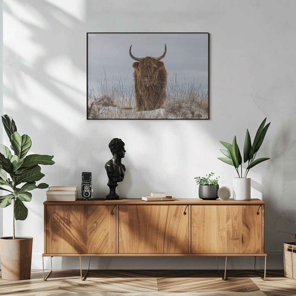 Highlander in Snow Wall Artwork In White Floating Frame