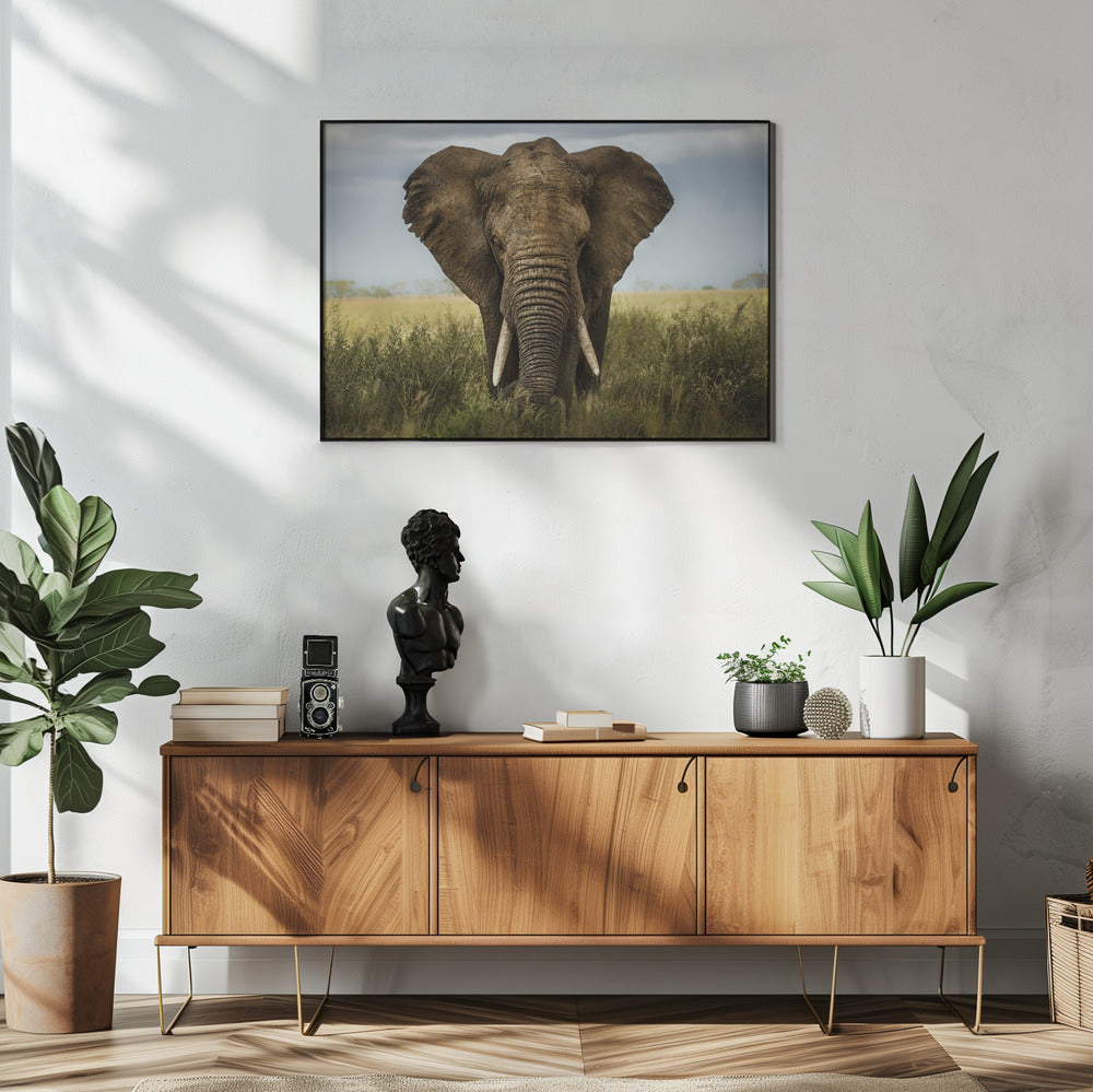 Artwork Encounters in Serengeti. Elephant48X36inches- White Frame