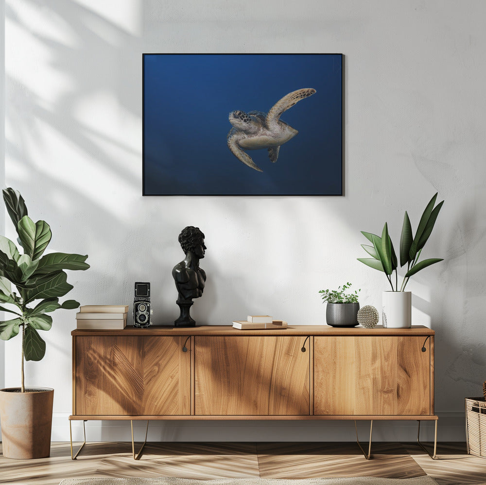 Wall art Green Turtle-48X36inches-In White Floating Frame