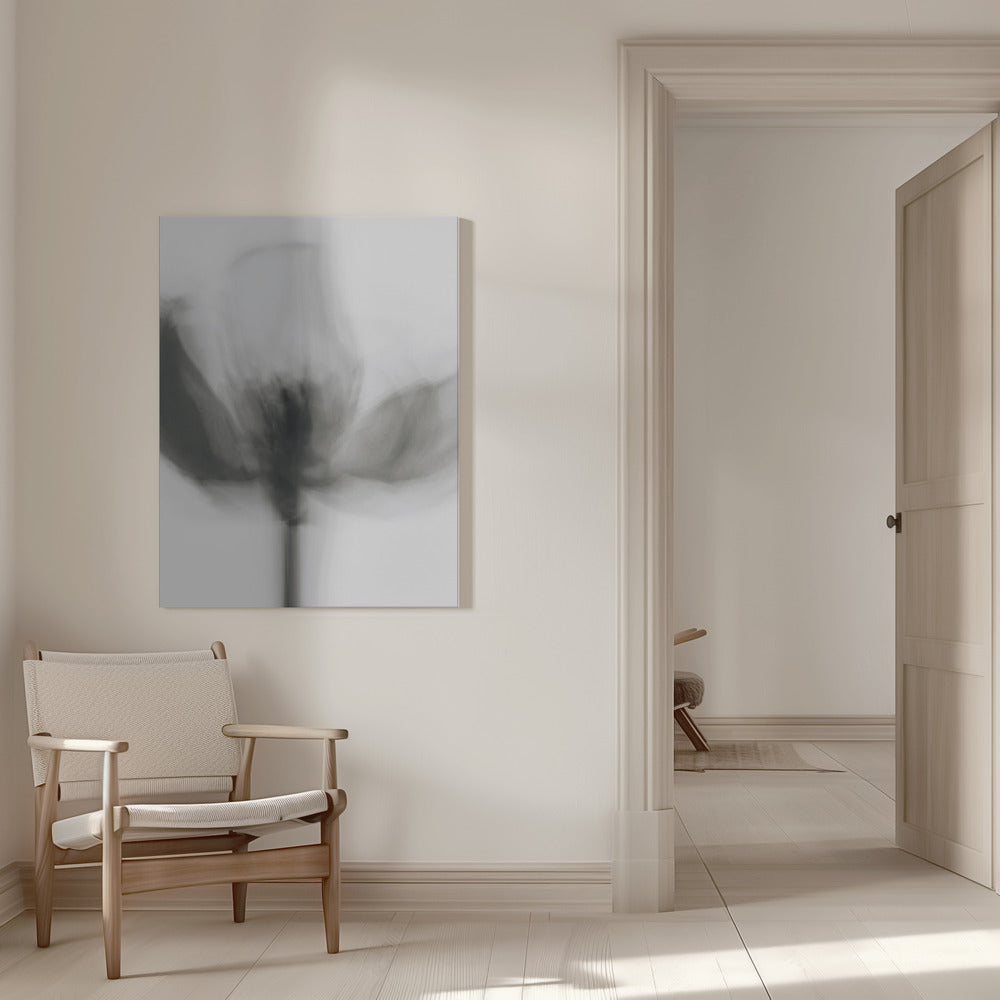 Artwork- Mono Tulip-36X48inches-In White Floating Frame