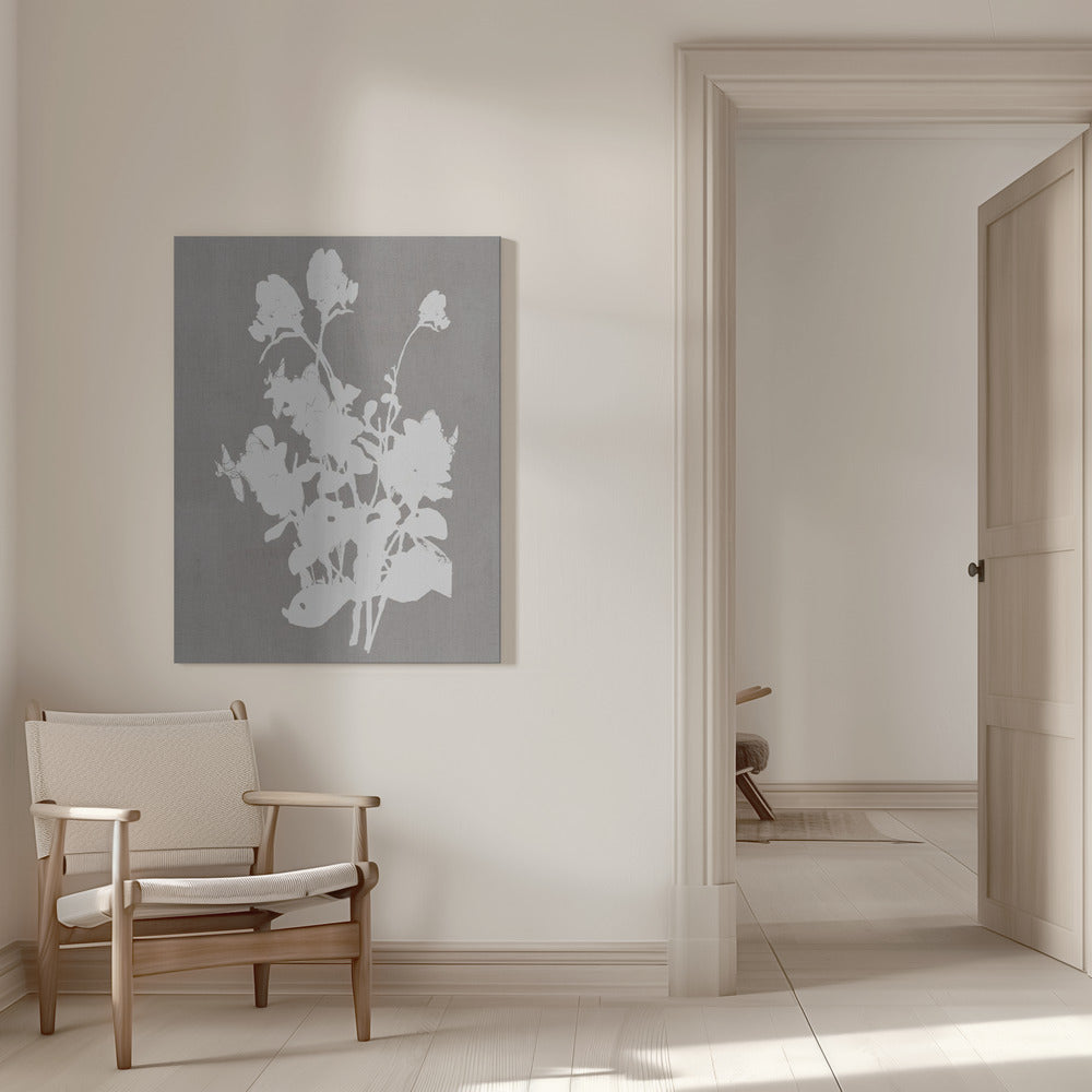 Artwork- Botanical Illustration 11-36X48inches-In White Floating Frame