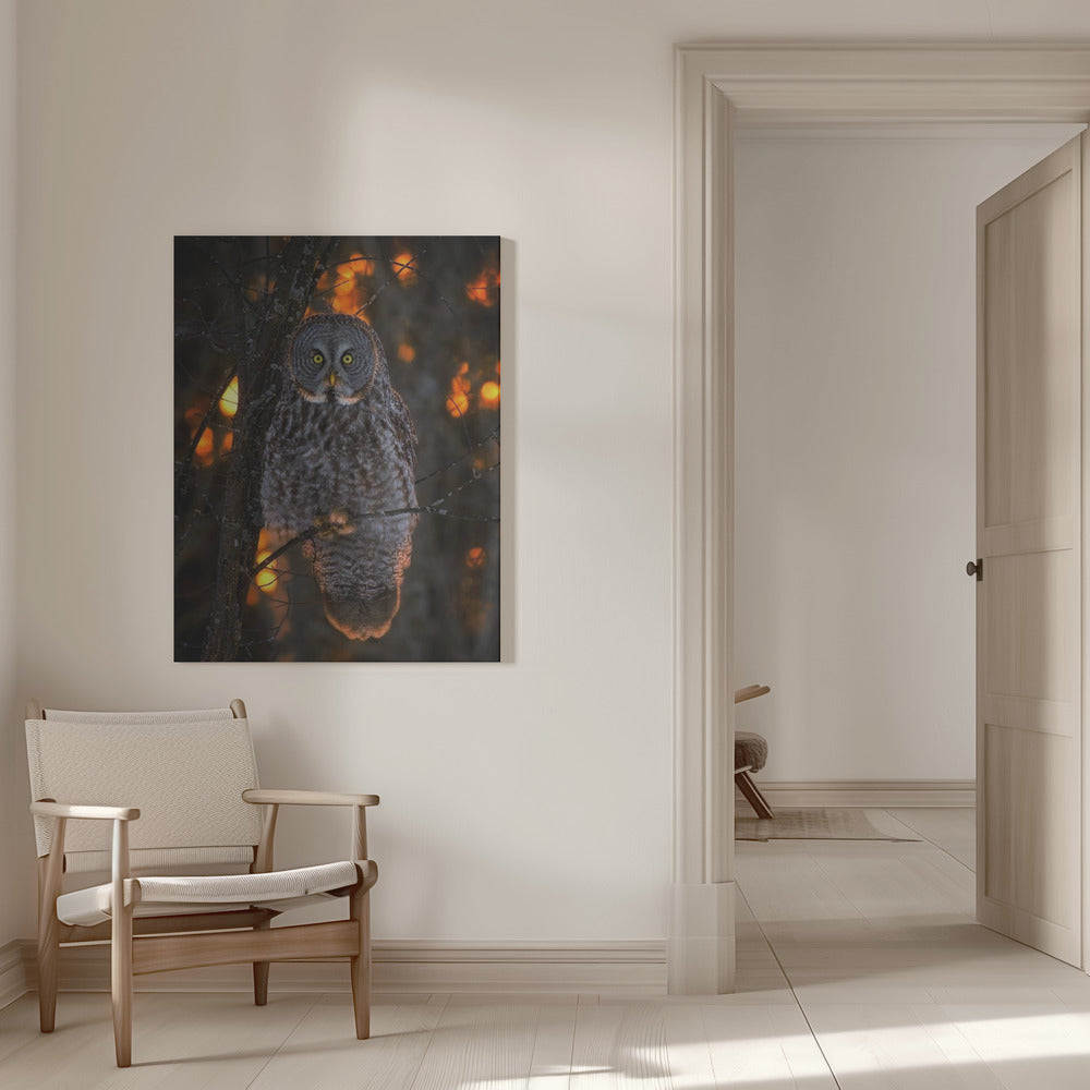 Wall art Solemn Sunset-16X20inches-In White Floating Frame