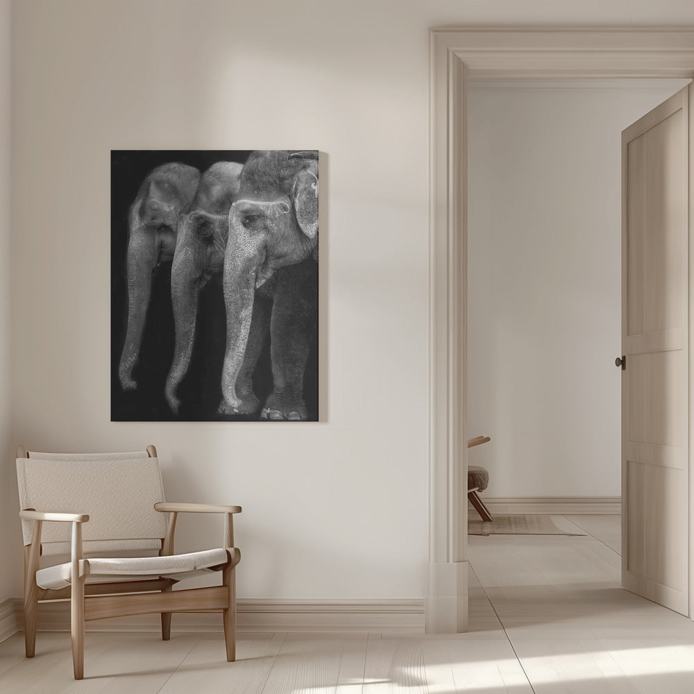 Artwork Nature\'s great masterpiece, an elephant; the only harmless great thing ...16X20inches- White Frame