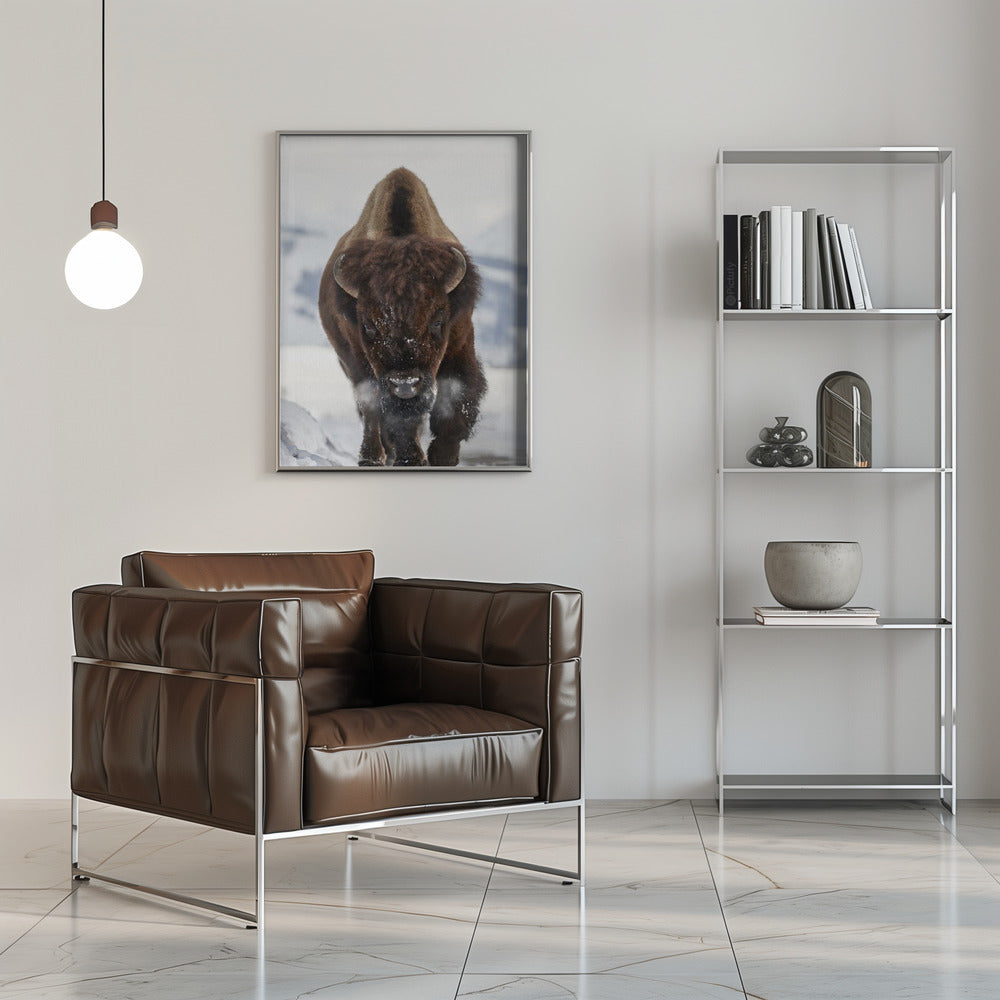 Bison Incoming Wall Artwork 0