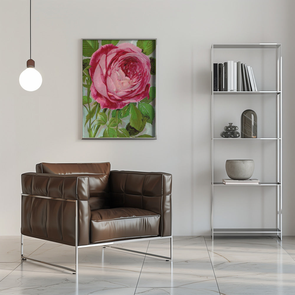 Pink Rose, Mrs John Laing Lithograph Wall Artwork 0