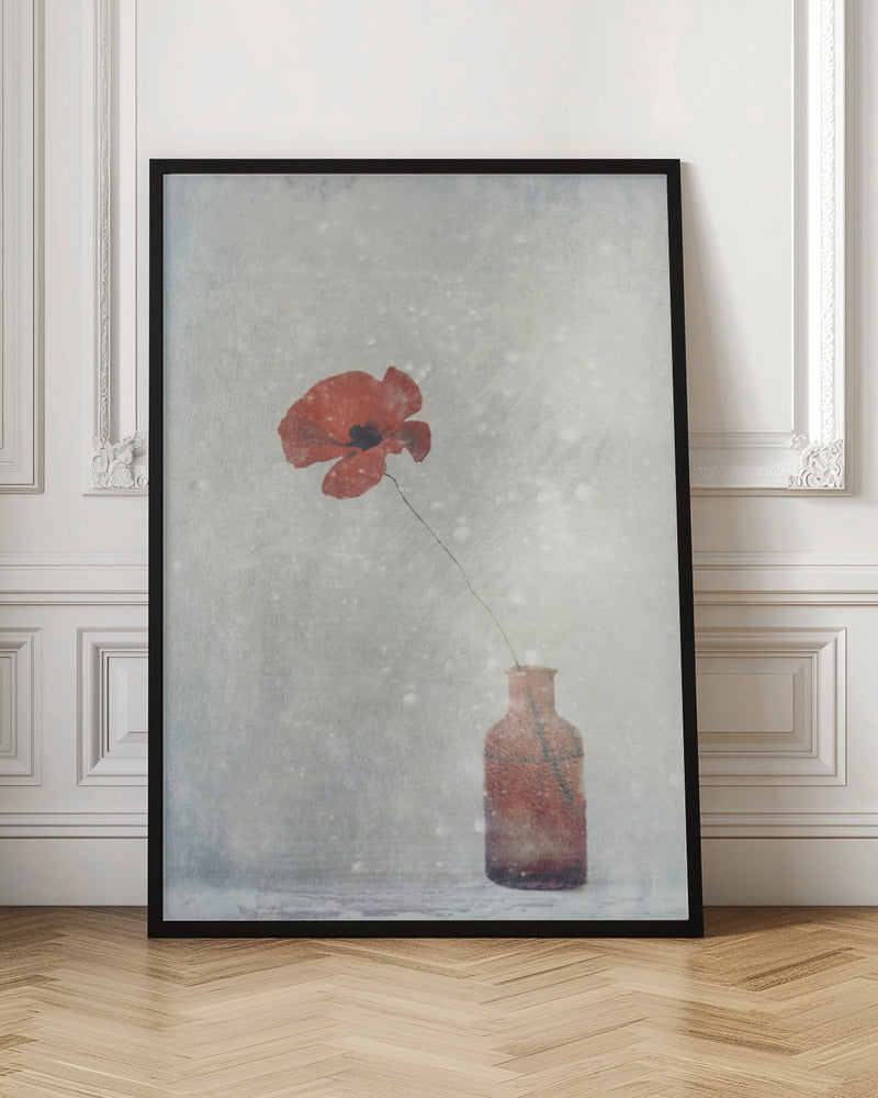 Winter Poppy Wall Artwork In Black Floating Frame