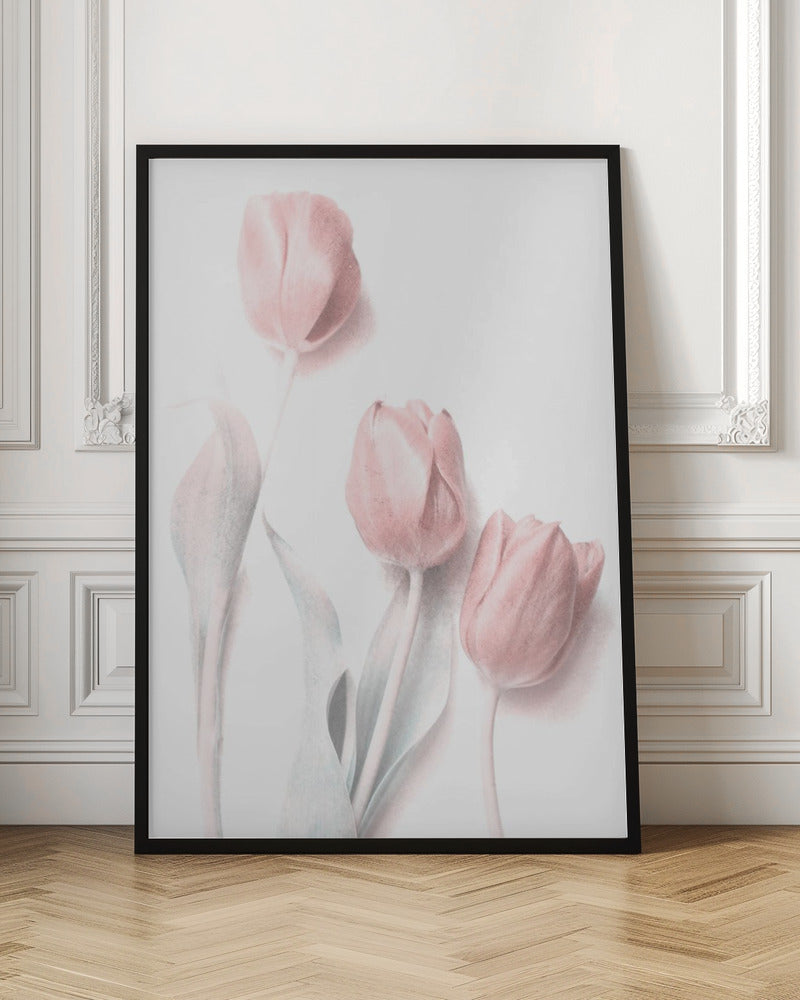 Sweet Pink Flower Wall Artwork In White Floating Frame