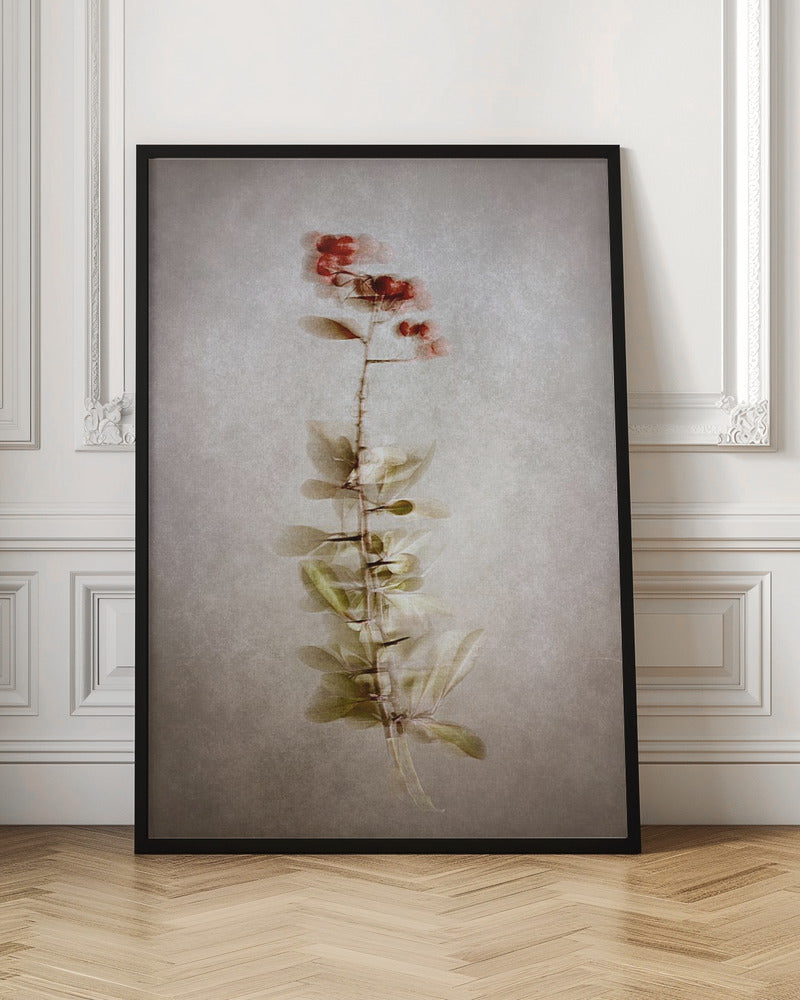 Exposed Wall Artwork In Black Floating Frame