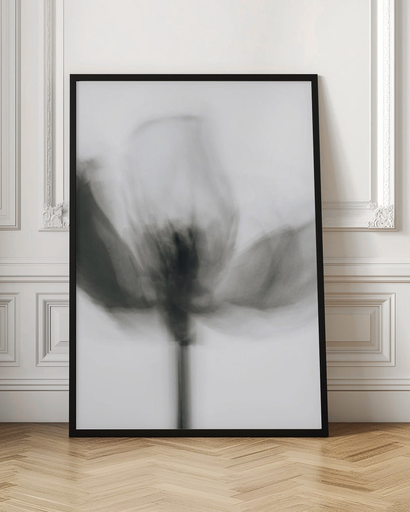 Artwork- Mono Tulip-24X36inches-Gallery Wrapped (Ready to Hang)
