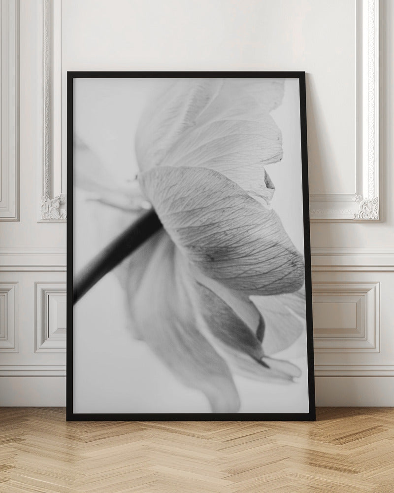 Blooming Flower Wall Artwork In White Floating Frame