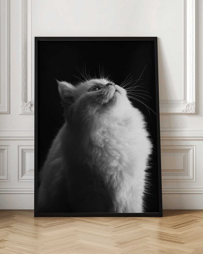 Wall art White in Black